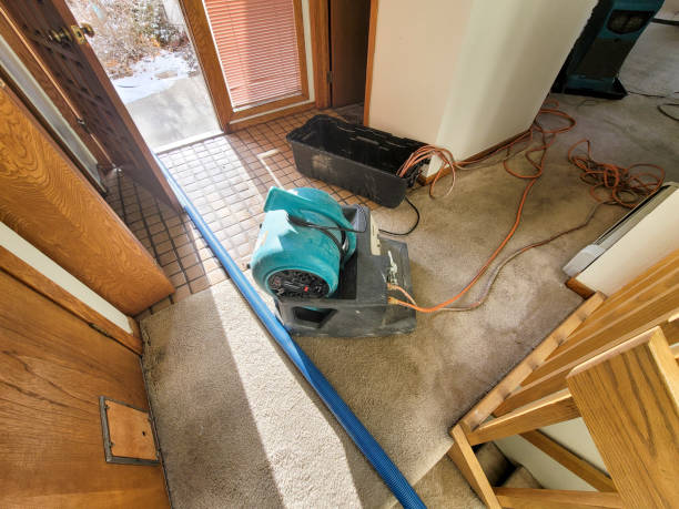 Best Local water damage restoration  in Brooklyn Park, MN