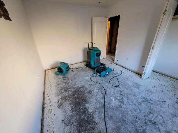 Best Flood restoration services  in Brooklyn Park, MN