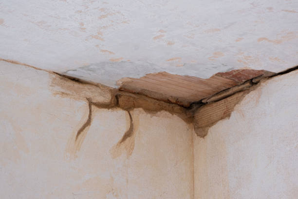 Best Water damage restoration cost  in Brooklyn Park, MN