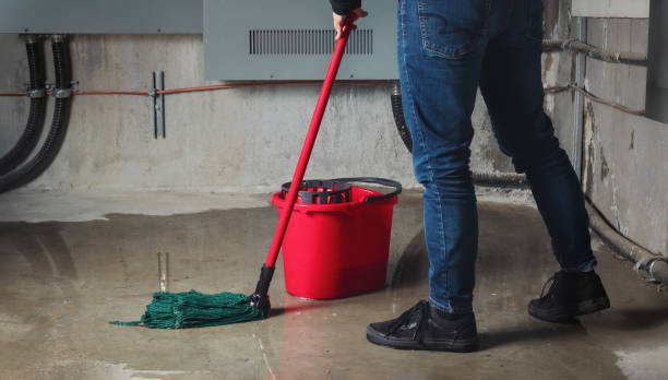 Brooklyn Park, MN Water damage restoration Company