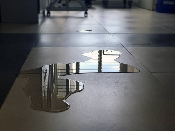 Best Commercial water damage restoration  in Brooklyn Park, MN