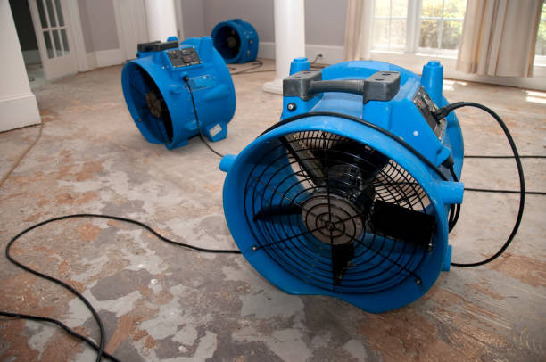 Best Flood damage cleanup  in Brooklyn Park, MN