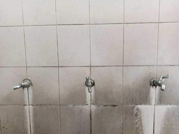 Best Mold removal after water damage  in Brooklyn Park, MN
