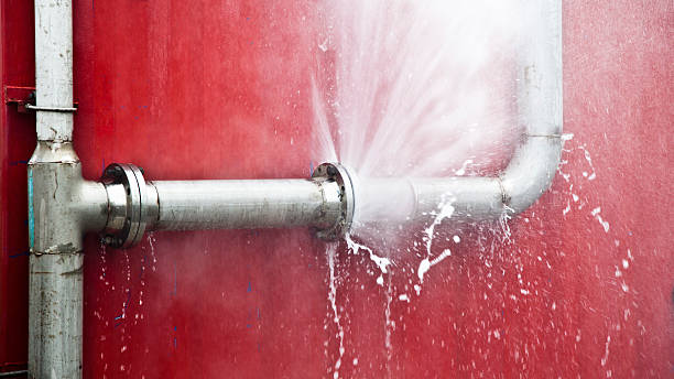 Best Basement water damage restoration  in Brooklyn Park, MN